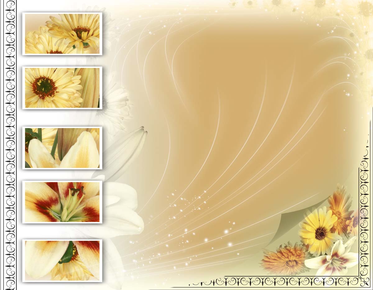 Adobe Photoshop Frames Free Download Adobe Photoshop Frames Free Download