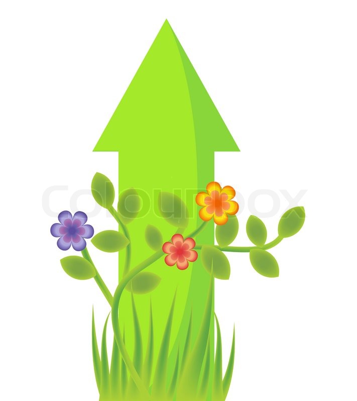 Arrow Vector Illustration Arrow Vector Illustration