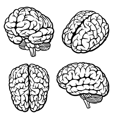 Brain Silhouette Vector Free