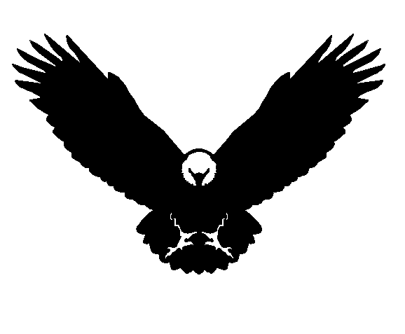 Eagle Silhouette Vector