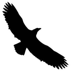 Eagle Wings Silhouette