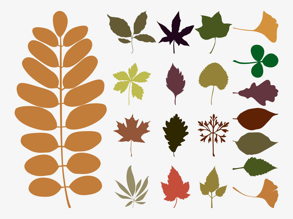 Fall Leaves Vector Fall Leaves Vector