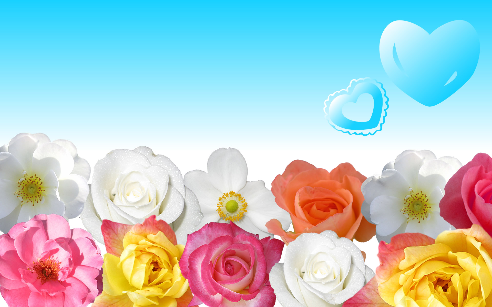 Flowers Desktop Flowers Desktop