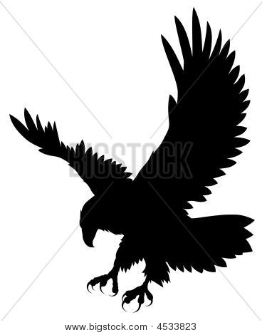 Flying Eagle Silhouette