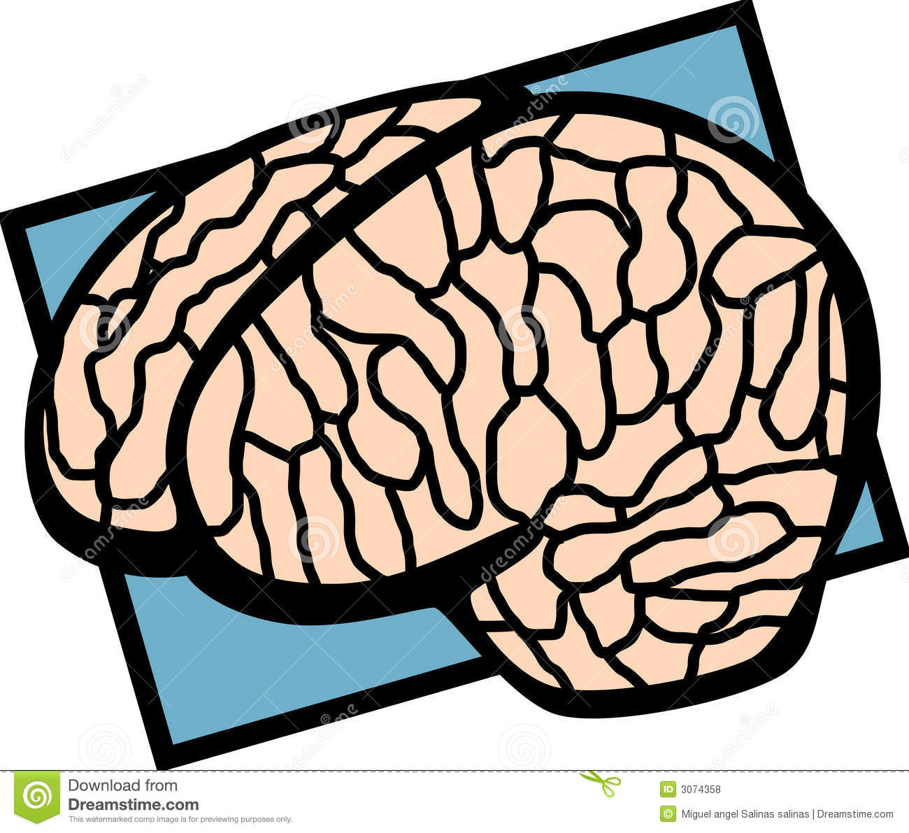Free Brain Vector Illustration