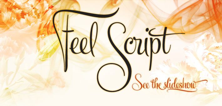 Free Feel Script Font Free Feel Script Font