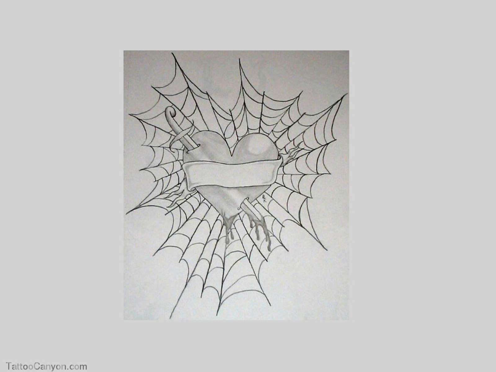 Free Spider Web Tattoo Designs