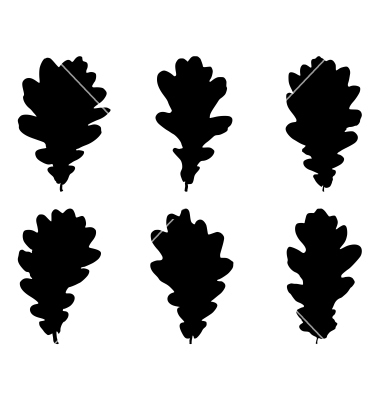 Free Vector Oak Leaf