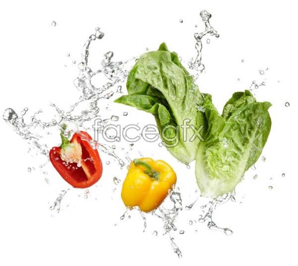 Fresh Fruits and Vegetables in Water
