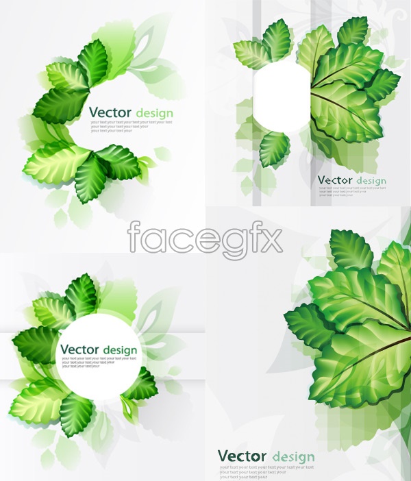 Green Eco-Leaf Vector Image