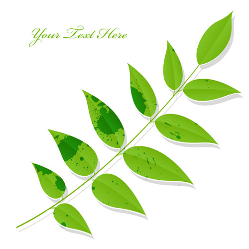 Green Leaf Vector