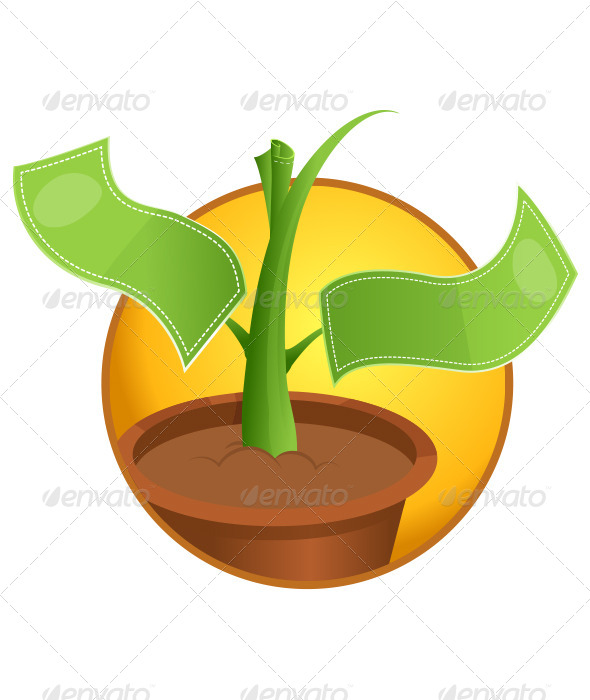 Green Money Plant Growth