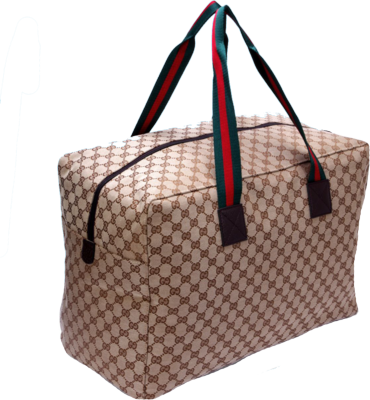 Gucci Bag PSD