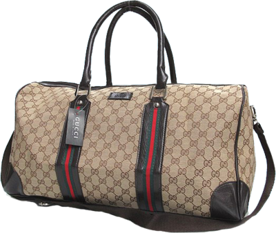 Gucci Transparent Bag