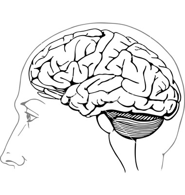 Human Brain Coloring Page