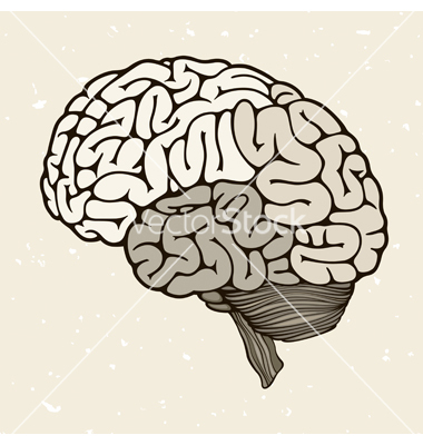 Human Brain Vector Art