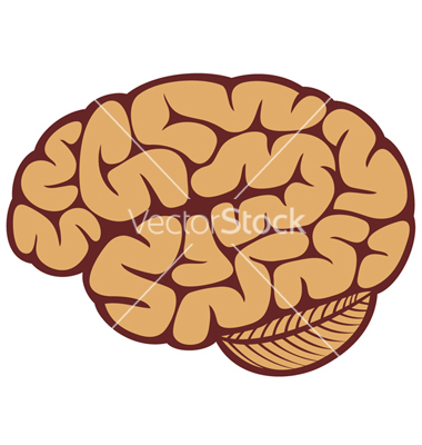 Human Brain Vector Art