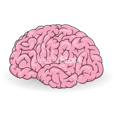 Human Brain Vector Art