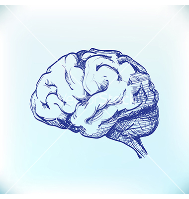 Human Brain Vector Art