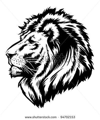 Lion Head Illustration