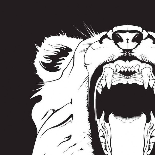 Lion Vector Free Download Lion Vector Free Download