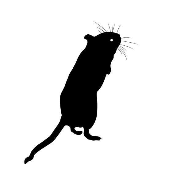 Mouse Silhouette