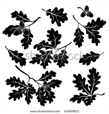 Oak Leaves Clip Art Black and White