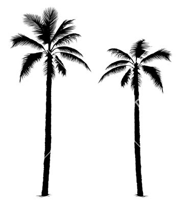Palm Tree Silhouette Clip Art Free