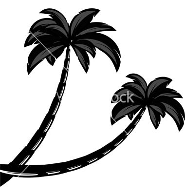 Palm Tree Silhouette Vector