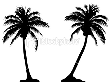 Palm Tree Silhouette Vector