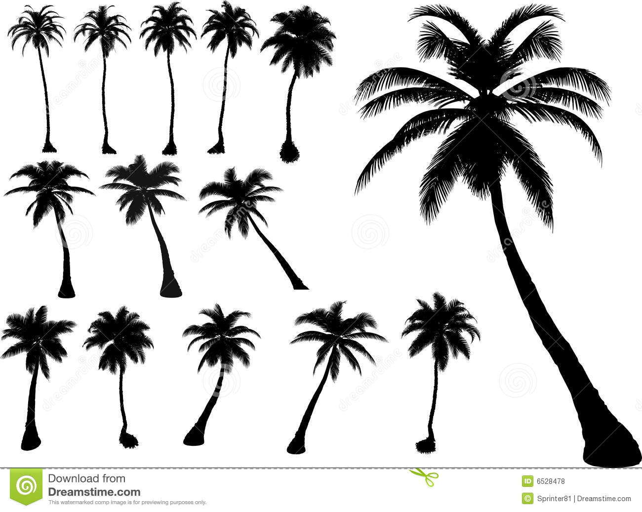 Palm Tree Vector Art Free