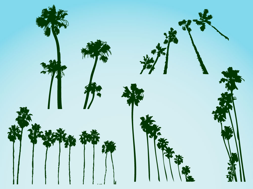 12 Desert Palm Trees Vector Graphics Images