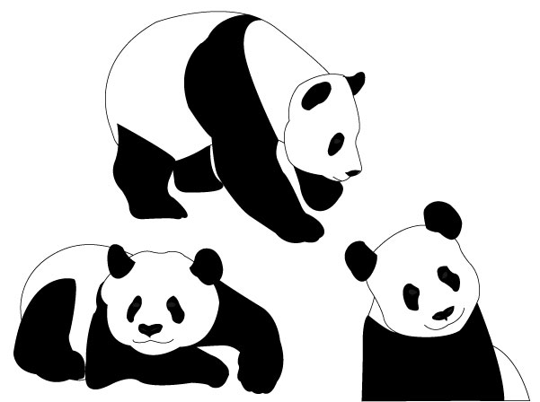 Panda Bear Vector