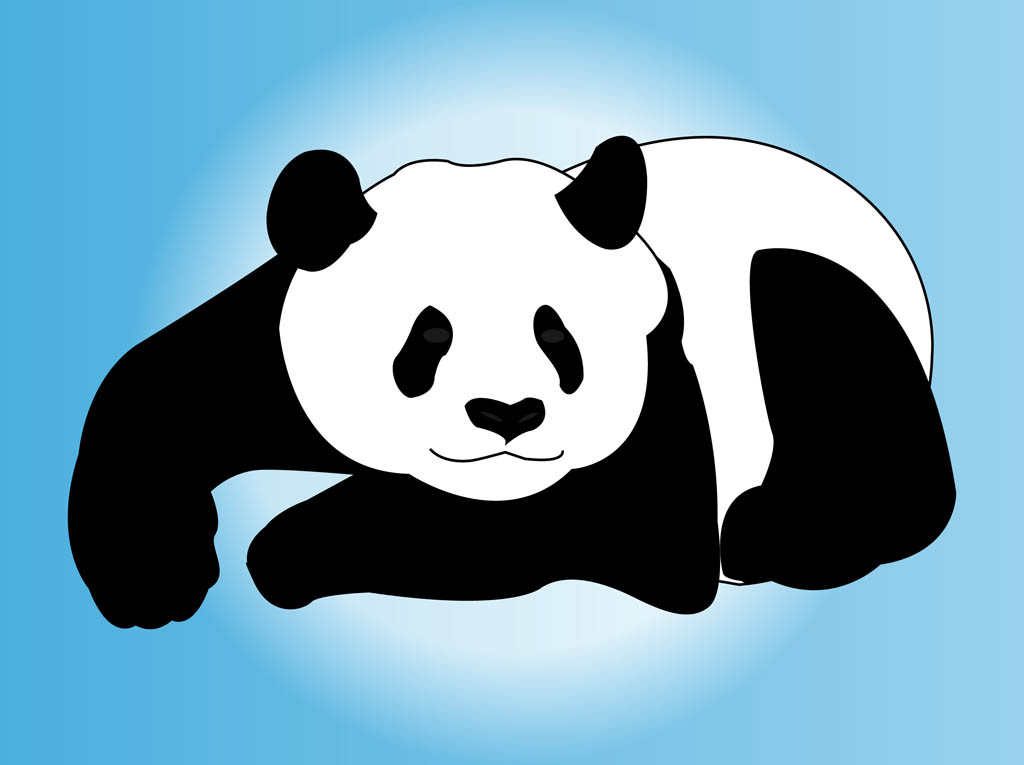 Panda Bear Vector