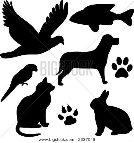 Pet Silhouettes Animal