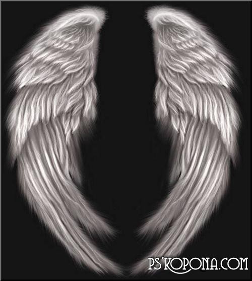 Photoshop Angel Wings Template Photoshop Angel Wings Template