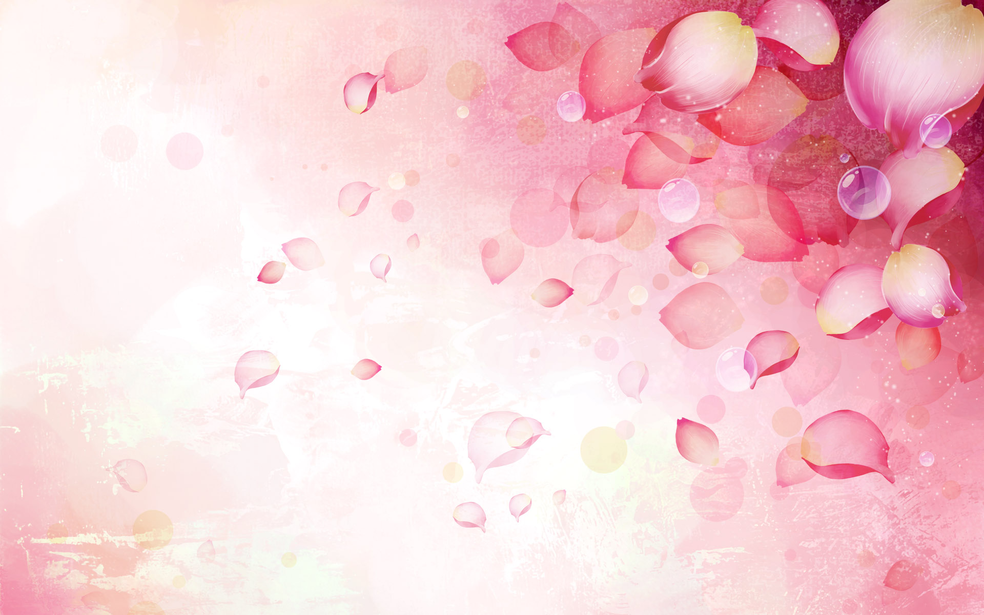 Pink Rose Petals Falling