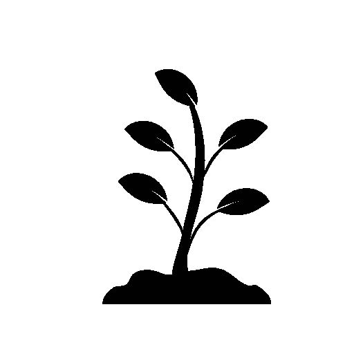 Plant Growing Icon Free