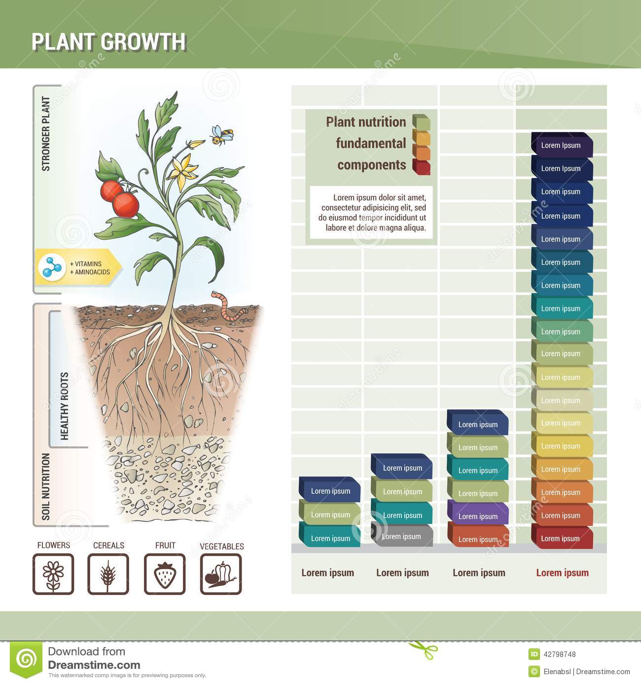 Plant Growth Graph Plant Growth Graph