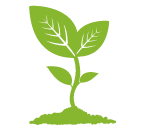 Plant Icon