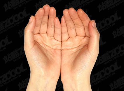 Praying Hands Vector PSD Praying Hands Vector PSD
