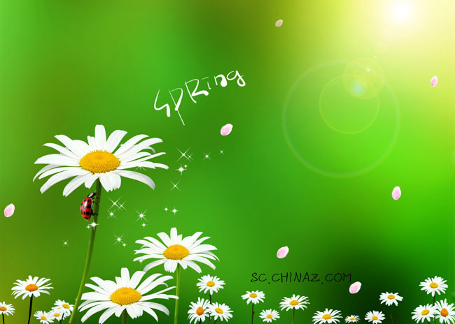 PSD Templates PSD Templates