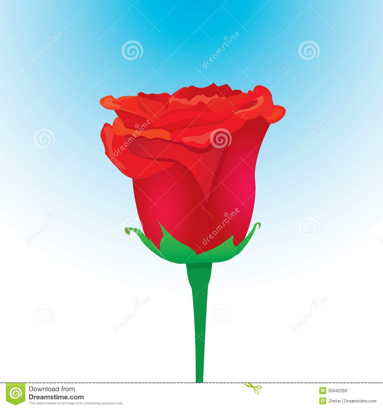 Red Rose Vector