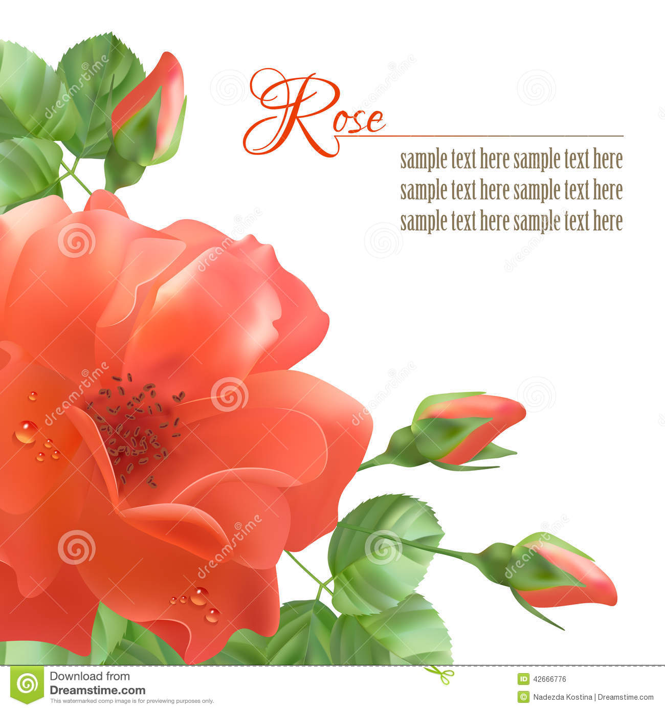 Red Rose Vector