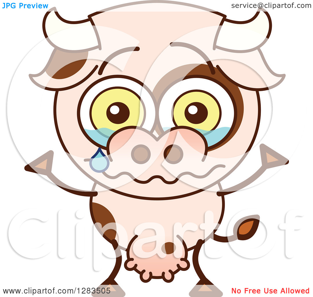 Sad Cartoon Cow