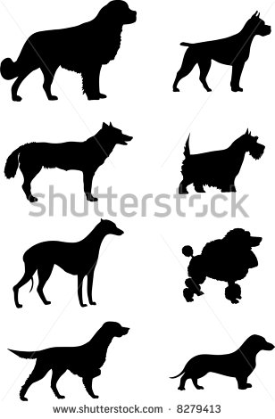 Saint Bernard Dog Silhouette