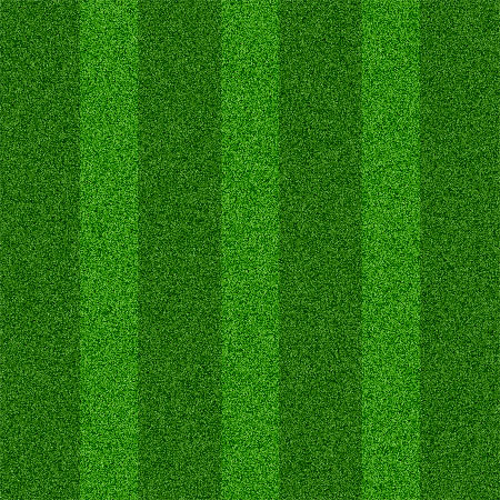 13 PSD Grass Texture Images