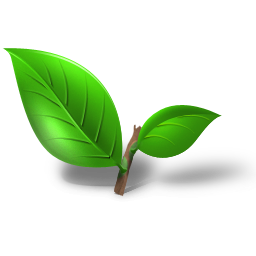 Tea Leaf Icon