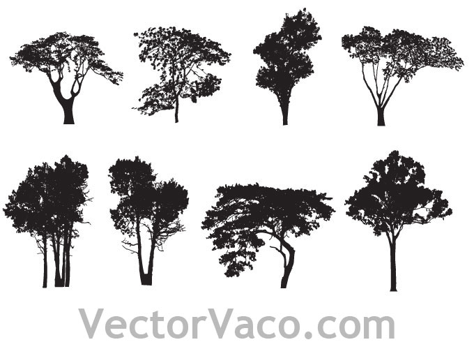 Tree Silhouette Vector