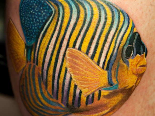 Tropical Fish Tattoos